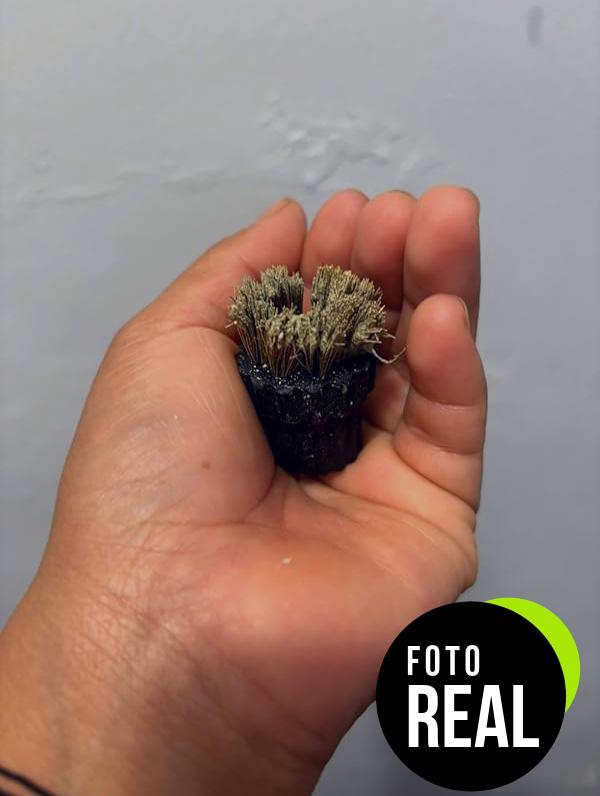 vaporeta-limpieza-hogar-2500w-portatil-foto-2